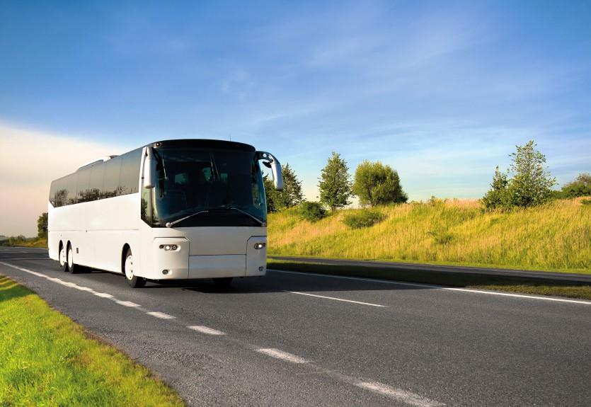 Connaître quelques mots sur l'autobus
